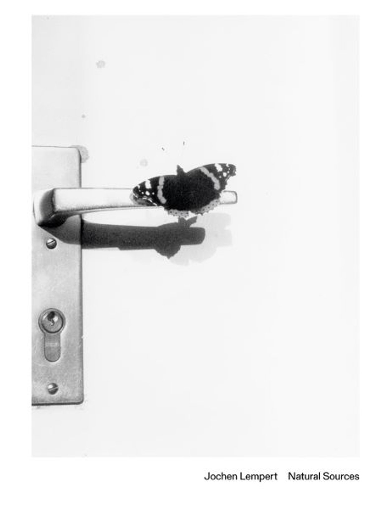 Florian Ebner (éd.), Jochen Lempert. Natural Sources, Cologne, Buchhandlung Walther König, 2024, 272 pages, 48 euros.