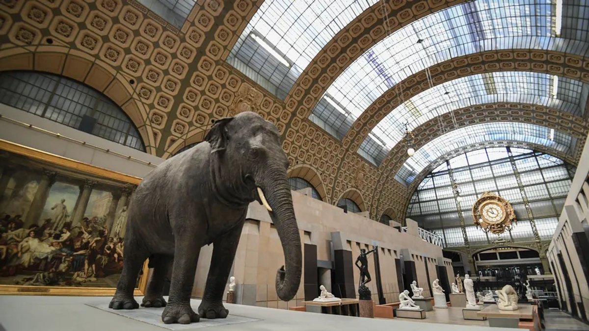 Le hall du musée d'Orsay. D.R.
