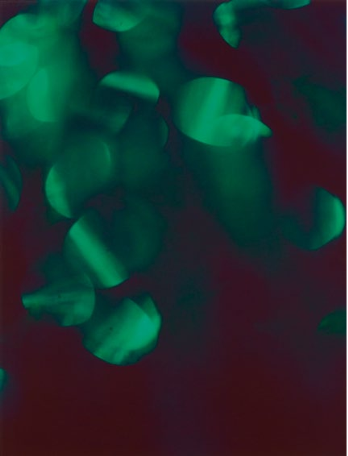 Pierre-Olivier Arnaud, Sans titre (Cheerleader II), série Cheerleader, 2014, Polaroid couleur, Frac Normandie Rouen. © Pierre-Olivier Arnaud