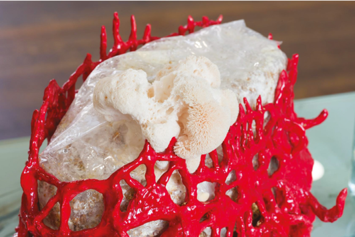 Candice Lin, Memory (Study #2) (détail), 2016, techniques mixtes.
Courtesy de l’artiste, Commonwealth and Council et François Ghebaly Gallery, Los Angeles. Photo Ruben Diaz.