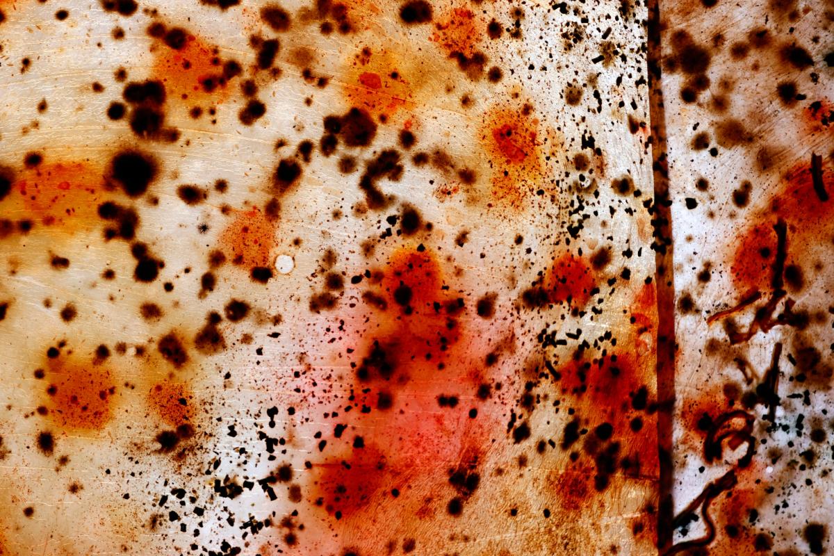 L'une des images du projet Bloom, le sang des glaciers de Charlotte Gautier van Tour. © Pascal Deloche