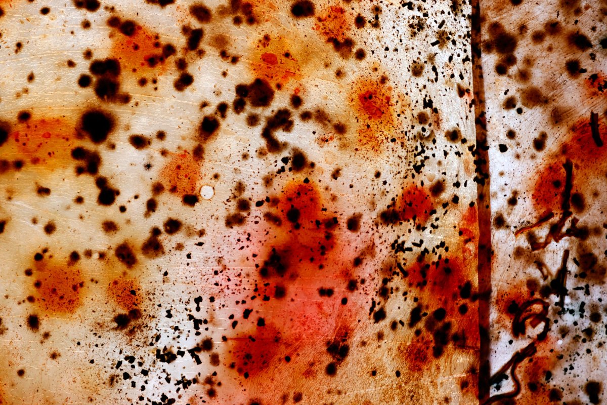 L'une des images du projet Bloom, le sang des glaciers de Charlotte Gautier van Tour. © Pascal Deloche