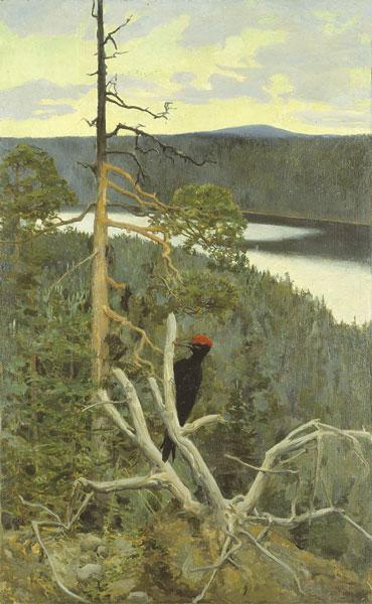 Akseli Gallen-Kallela, Palokärki / Grand Pic noir, 1894, huile sur toile marouflée sur carton, 145 x 91 cm. © Musée d’Orsay, dist. RMN-Grand Palais /Patrice Schmidt