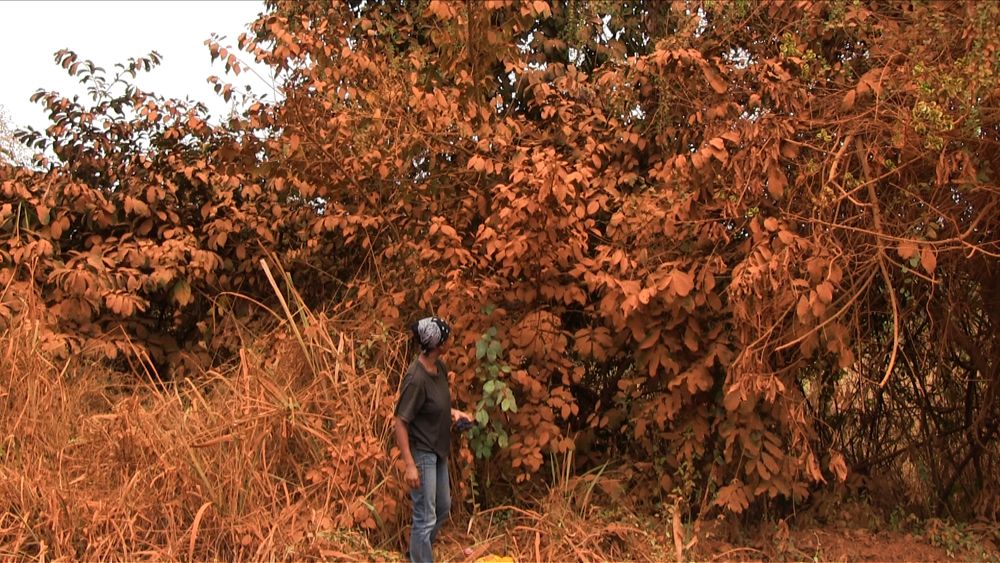 Kapwani Kiwanga, Vumbi (Poussière), 2012, vidéo couleur, sonore, collection Frac Provence-Alpes-Côte d’Azur. Courtesy de l’artiste