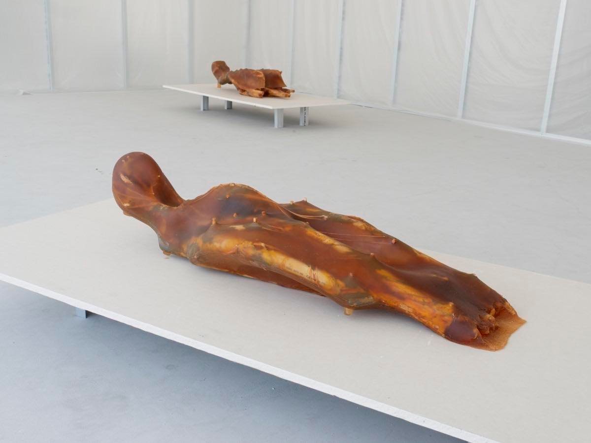 Vue de l’exposition de Roy Köhnke « Being flesh / A work in progress », 2022, Buropolis, Marseille, France. Photo : Pierre Girardin. © Adagp, Paris, 2022