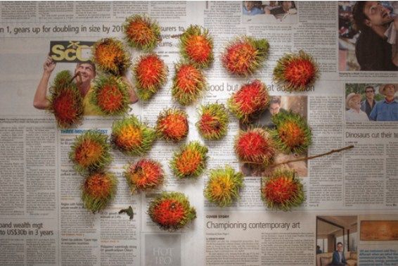 Chow and Lin, Rambutans, série The Poverty Line, depuis 2010. Courtesy de l’artiste et de la Whitestone Gallery, Singapour 