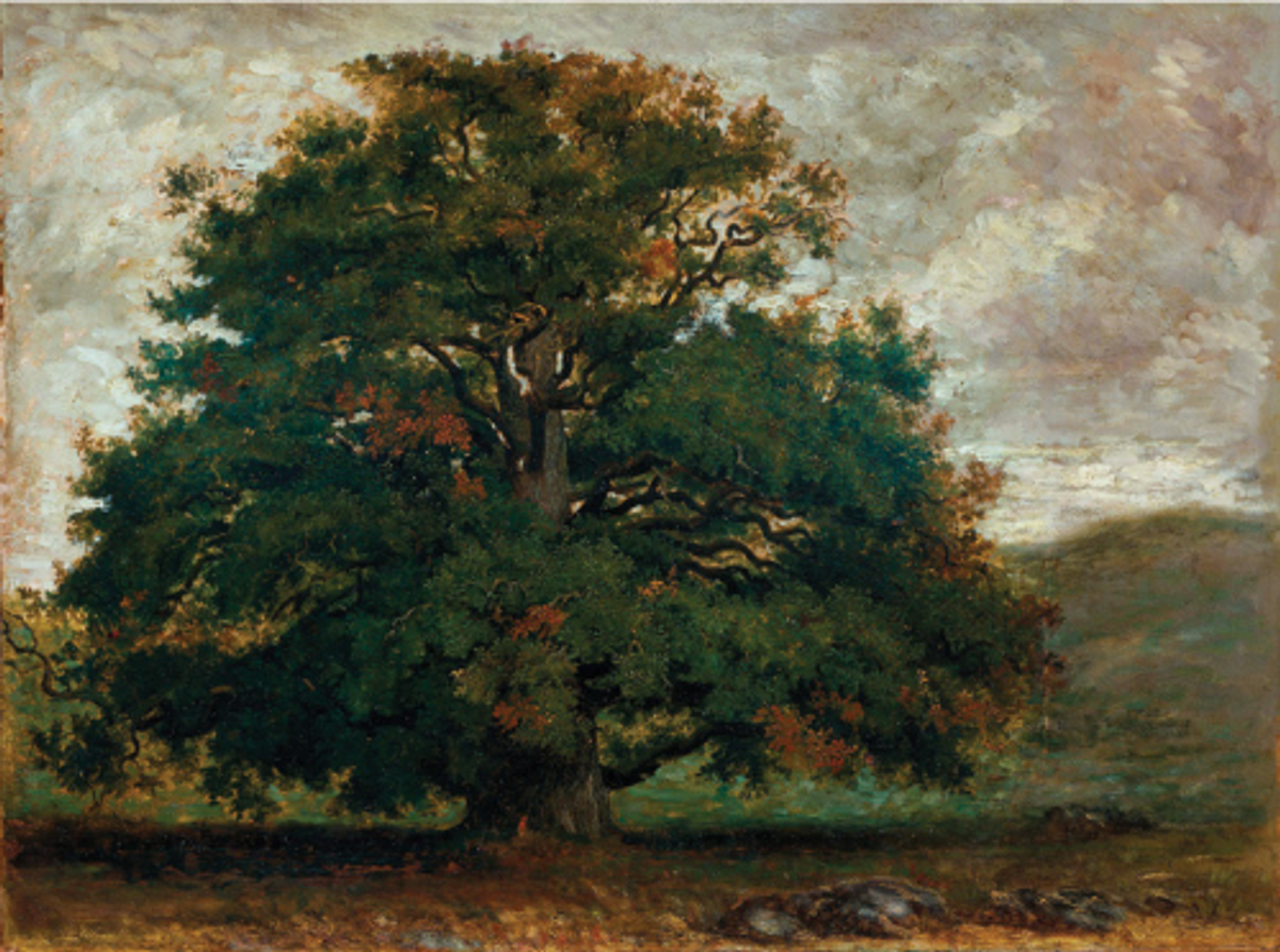 Theodore Rousseau, Arbre dans la forêt de Fontainebleau, 1840-1849, huile sur papier marouflé sur toile, Londres, Victoria and Albert Museum. Courtesy V&A Museum