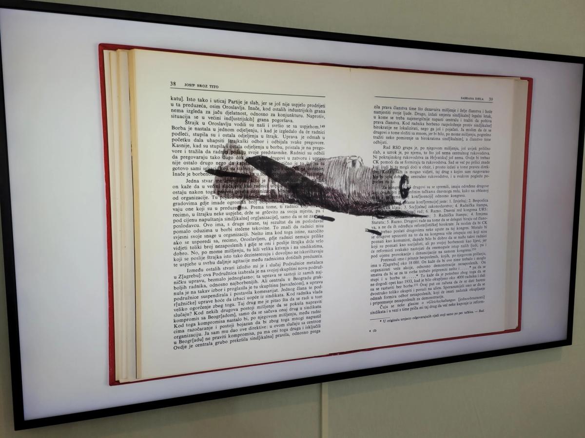 Extrait de The Plot, de Nemanja Nikolic, à la galerie Dix9 - Hélène Lacharmoise. Photo : A.C.