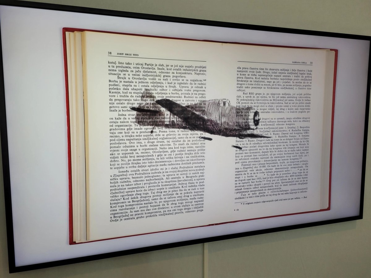 Extrait de The Plot, de Nemanja Nikolic, à la galerie Dix9 - Hélène Lacharmoise. Photo : A.C.