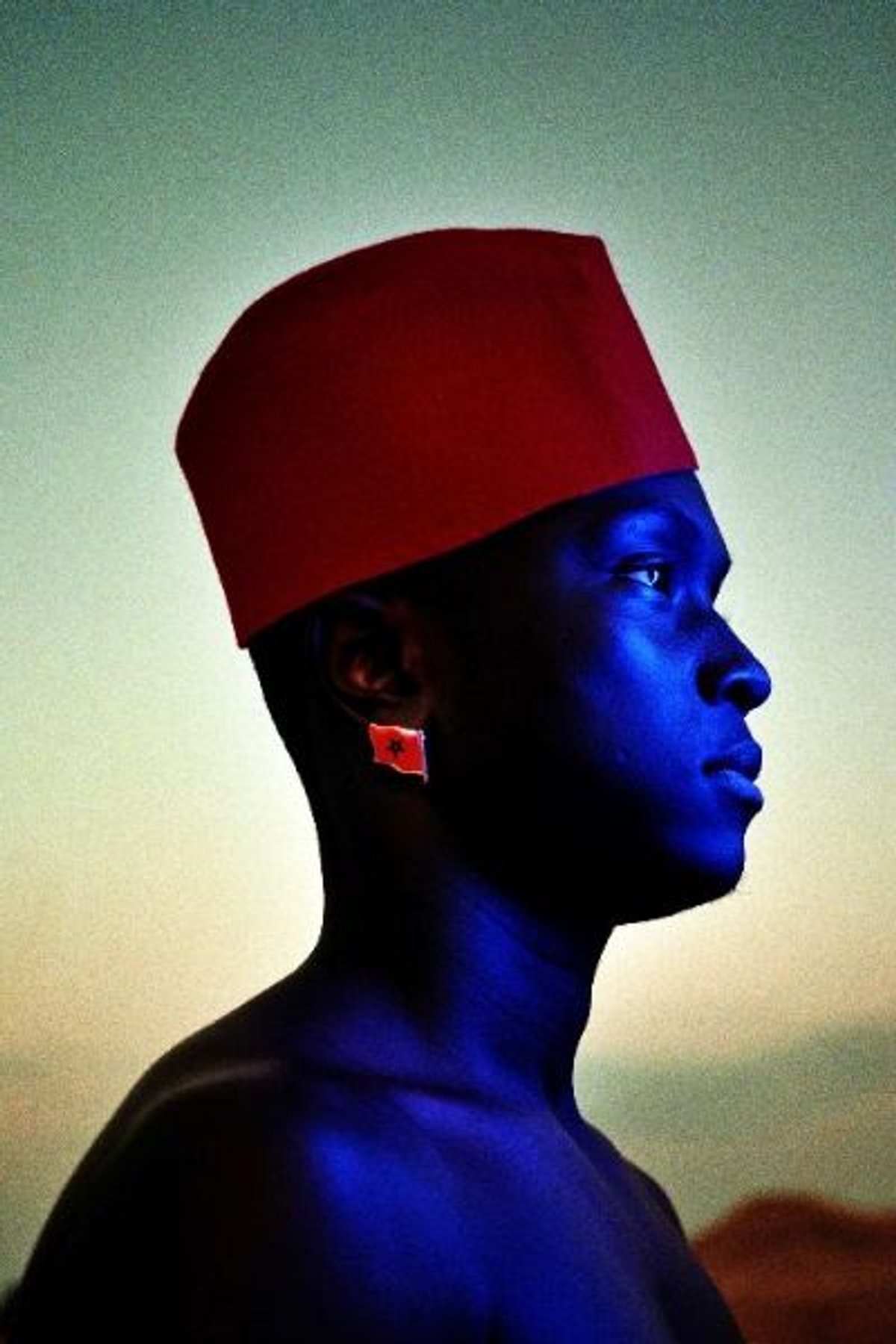 Mous Lamrabat, Moroccan Lions, 2021. Courtesy de l'artiste