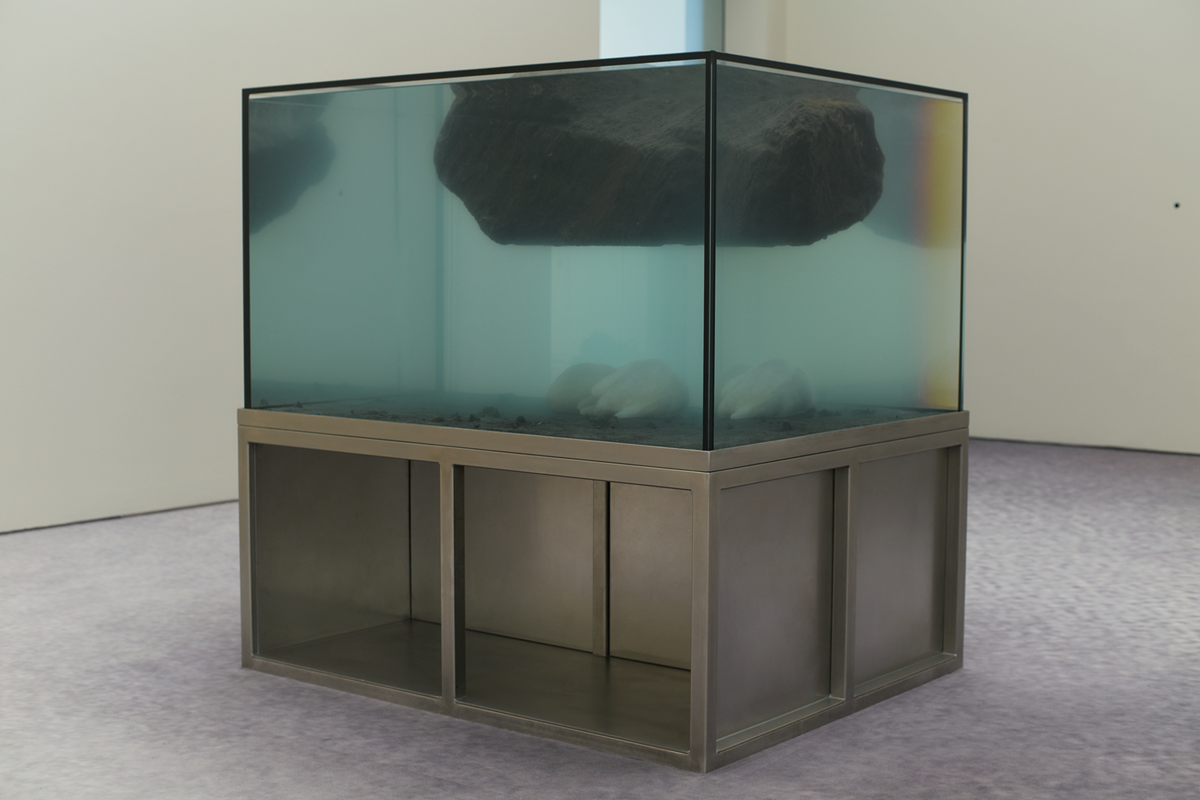 Pierre Huyghe, Apnea, installation in situ, matériaux divers, Fondation Beyeler, Riehen, 2026. © Pierre Huyghe. Photo : Ola Rindal