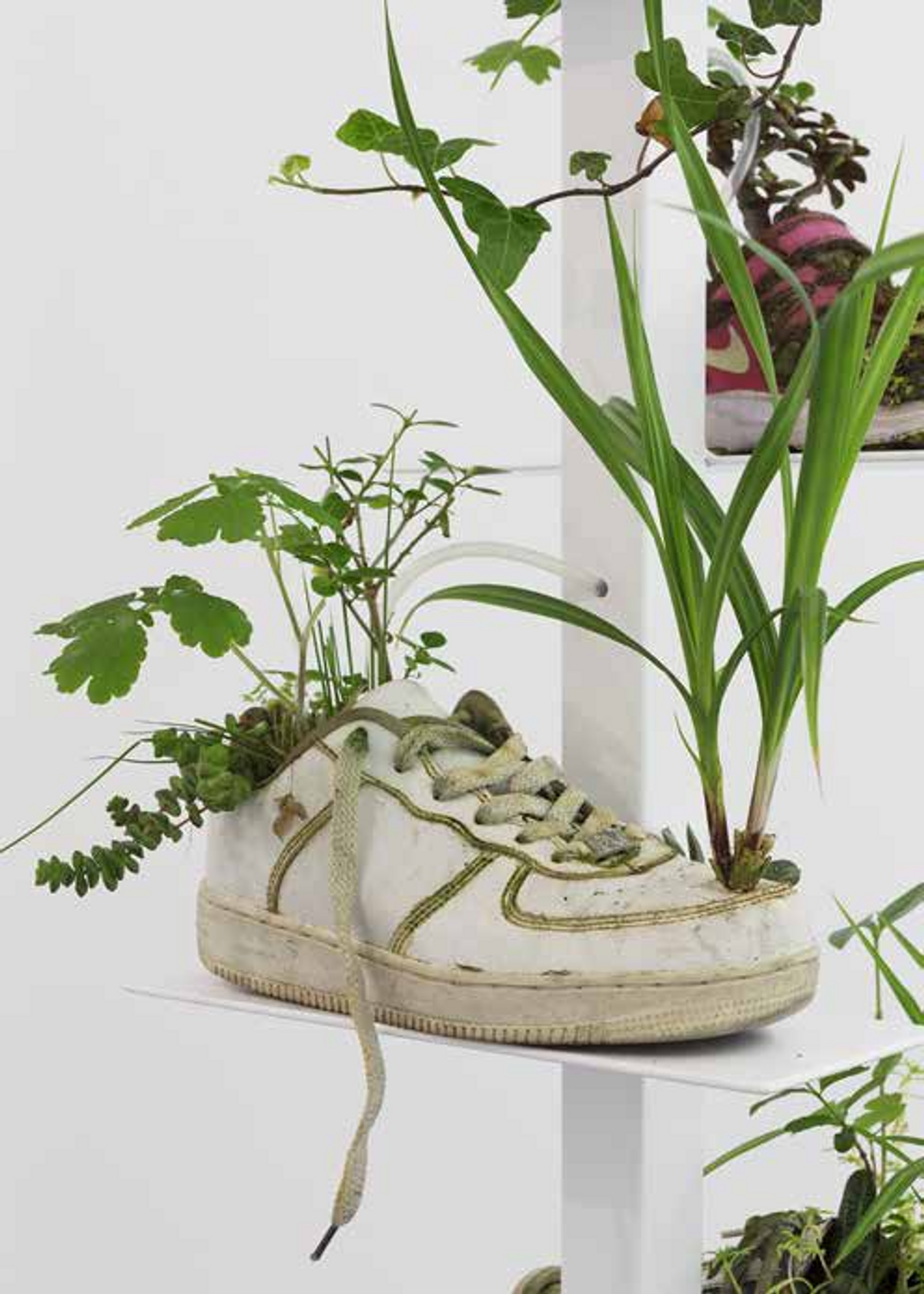 Michel Blazy, Pull Over Time : Running, 2017 / Running Shanghai, 2019, chaussures de sport, plantes, sol, eau, techniques mixtes, 190 x 50 x 50 cm. © Claire Dorn. Courtesy de l’artiste et Art : Concept, Paris