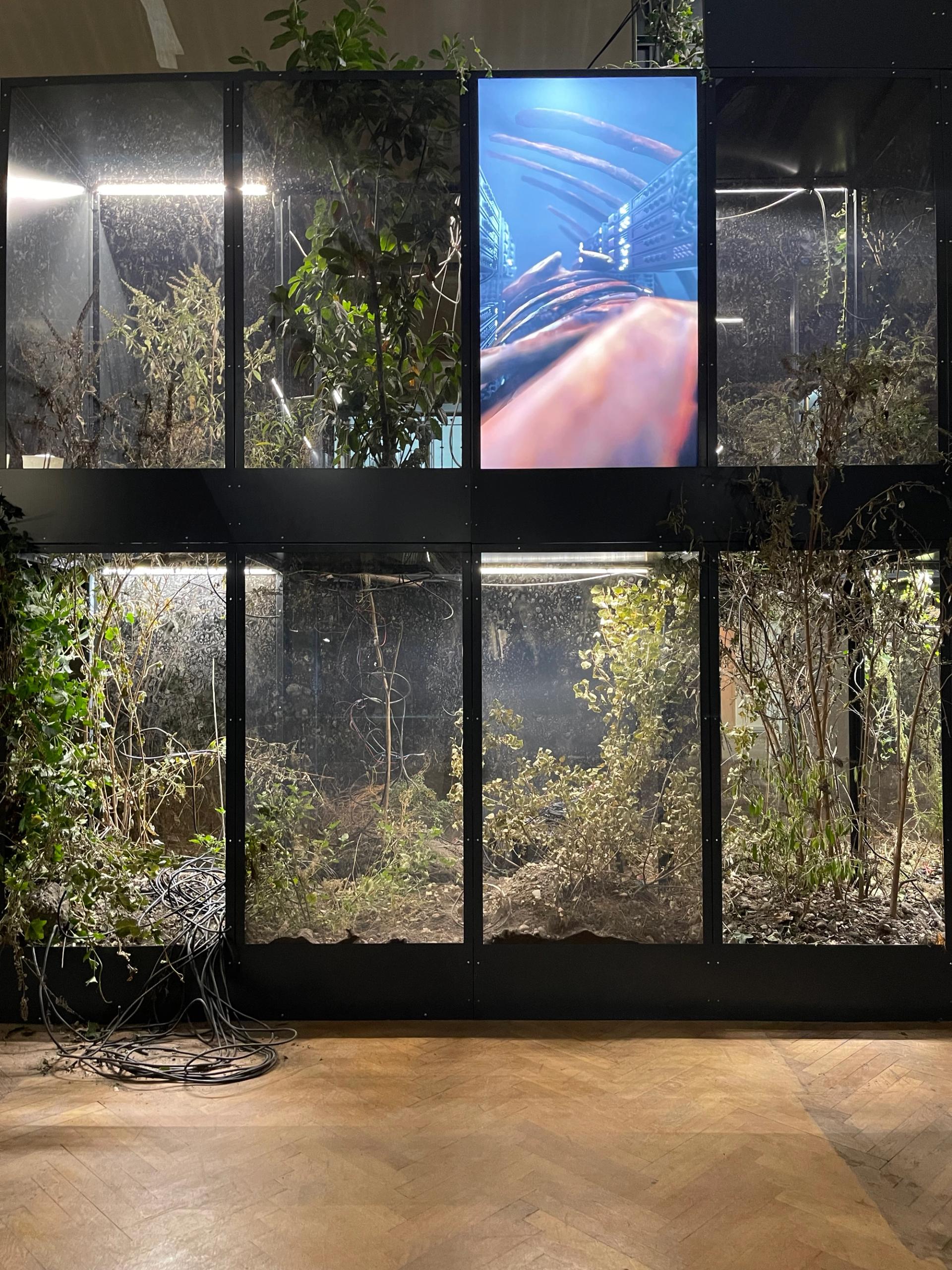 Ugo Schiavi, Grafted Memory System (détail), 2022, au musée Guimet à Lyon. Commande à l'occasion de la 16e édition de la Biennale de Lyon. Photo : Philippe Régnier