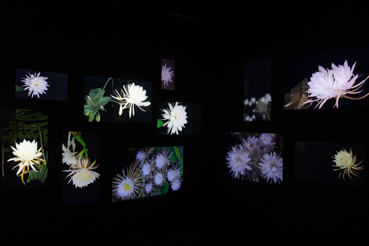 Anna Ridler, Circadian Nocturne, 2023 © Anna Ridler