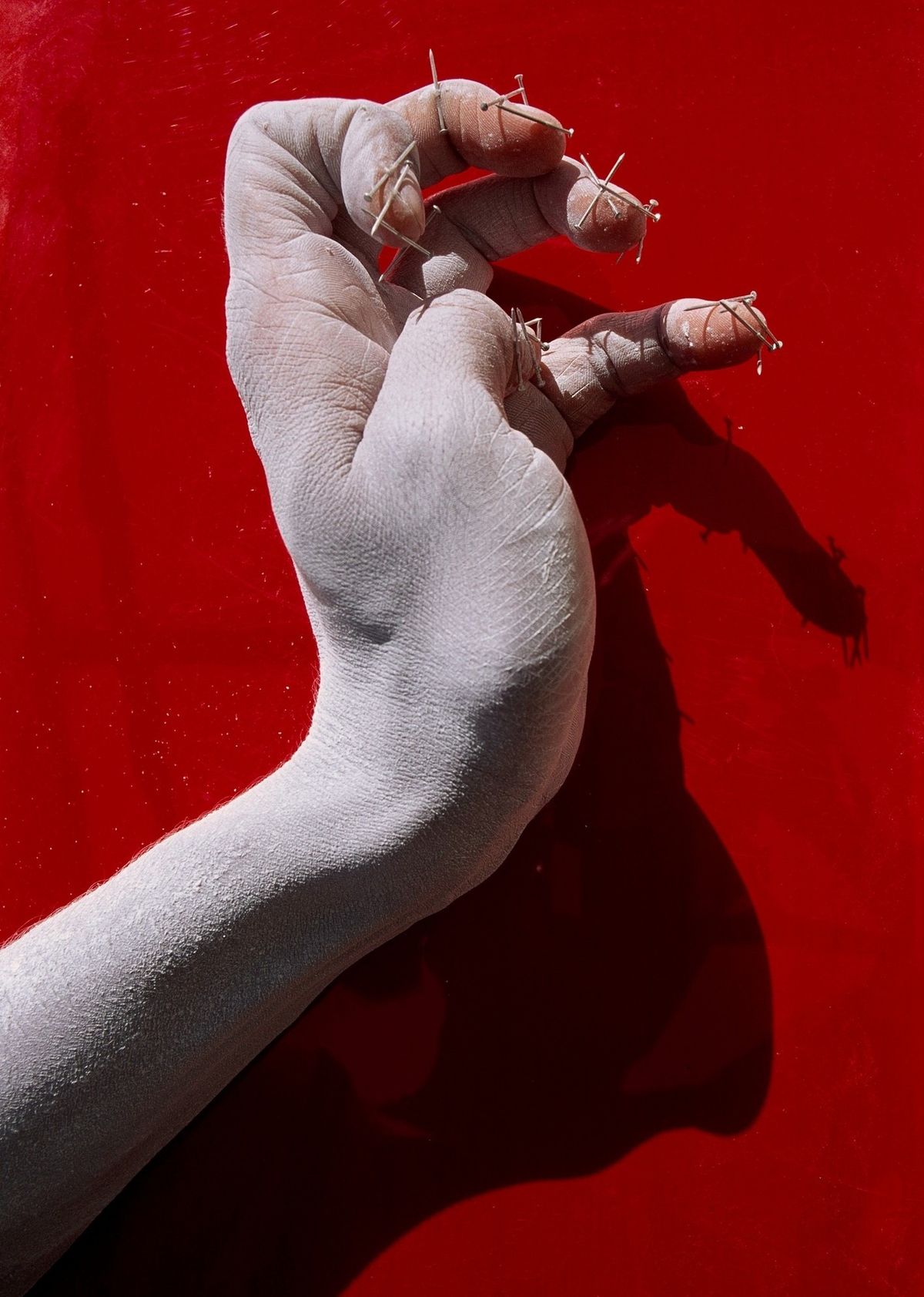 Myriam Mihindou, Rhizome, 2000, Cibachrome couleur contrecollé sur acier. Courtesy de l’artiste et Galerie Maïa Muller