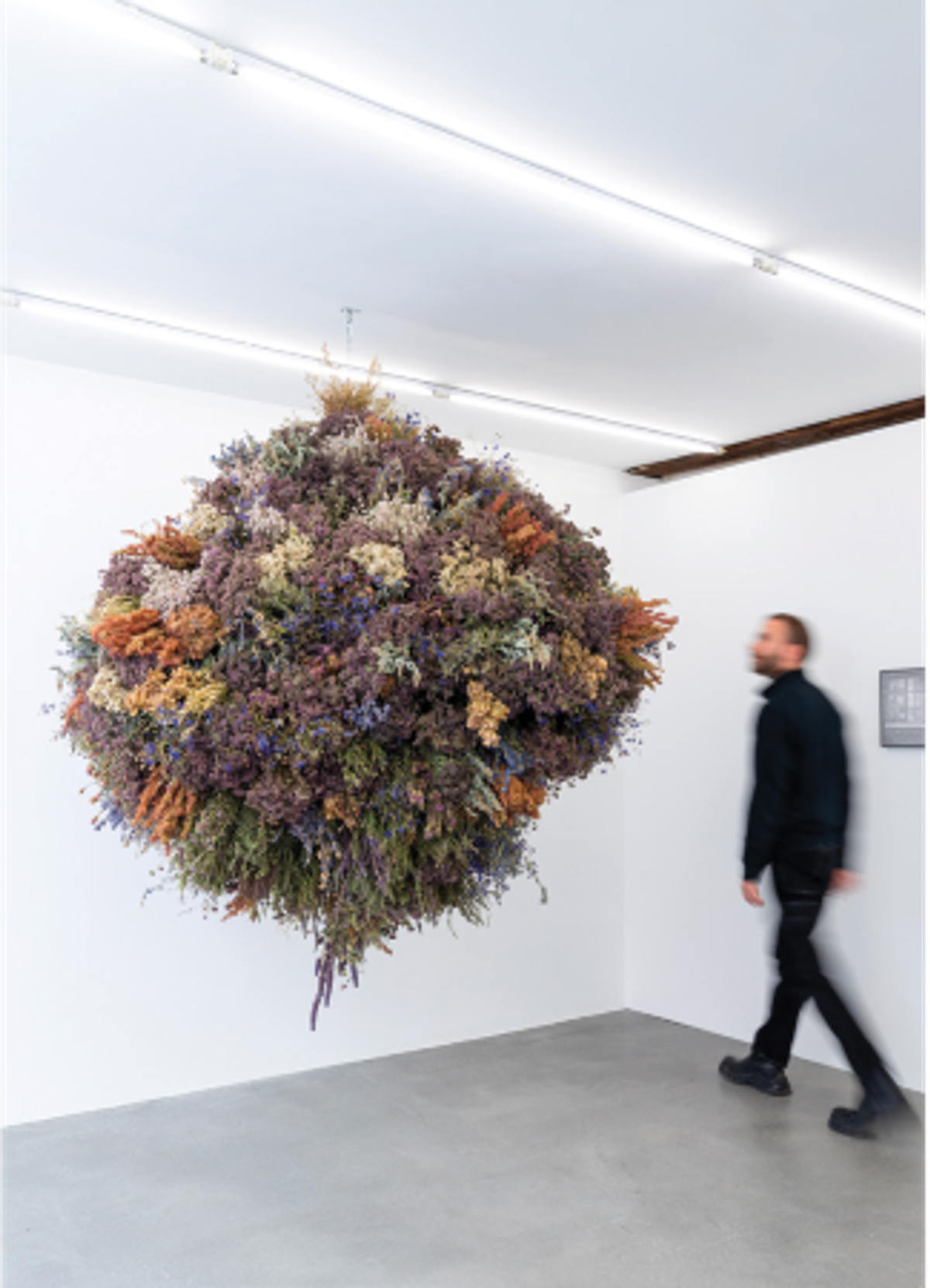 Vue de l’exposition, « Les frontières sont des animaux nocturnes/Sienos yra naktiniai gyvunai », KADIST Paris, 2024.
© Vinciane Lebrun/Voyez-Vous