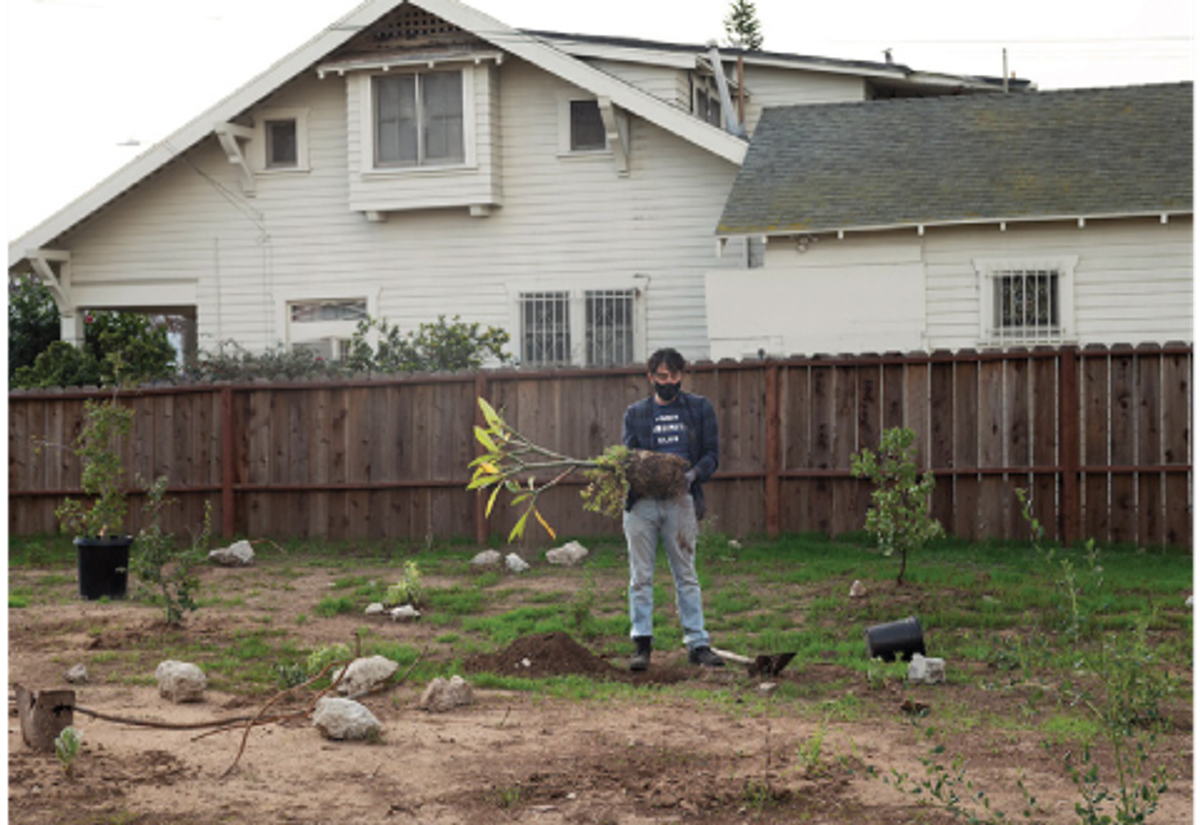 Olivia Fougeirol, David Horvitz, 7th Avenue Garden, Los Angeles, 2021, photographie. © Olivia Fougeirol. Courtesy Jean-Kenta Gauthier, Paris