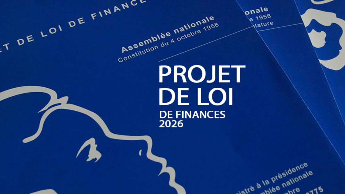 Deux amendements en faveur de la taxation des œuvres d’art ont été déposés dans le cadre du projet de loi de finances 2026. Assemblée nationale