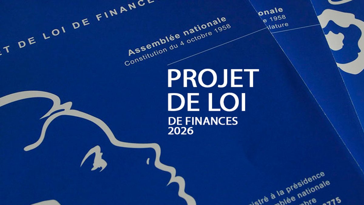 Deux amendements en faveur de la taxation des œuvres d’art ont été déposés dans le cadre du projet de loi de finances 2026. Assemblée nationale