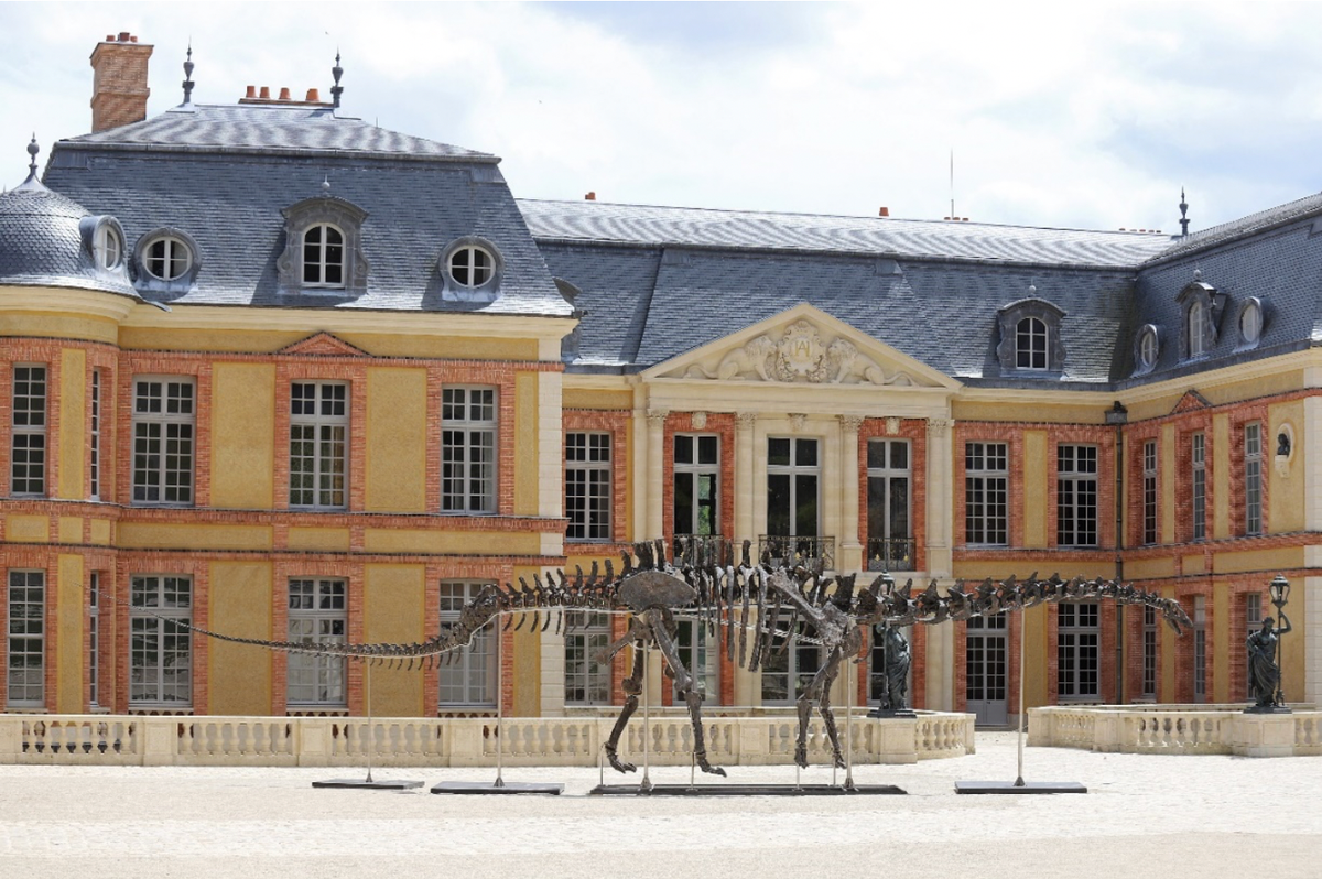 Le squelette de dinosaure Vulcain exposé dans la cour du Château de Dampierre-en-Yvelines.

© Antoine Pascal 