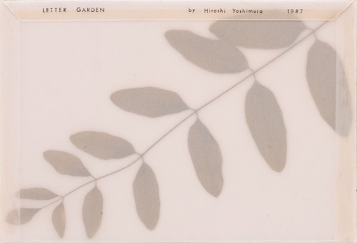 Hiroshi Yoshimura, Letter Garden, vers 1987, plantes et papier calque. The Museum of Modern Art, Kamakura & Hayama. © Yoko Yoshimura. Courtesy du Museum of Modern Art, Kamakura & Hayama. Photo Ryo Kubo