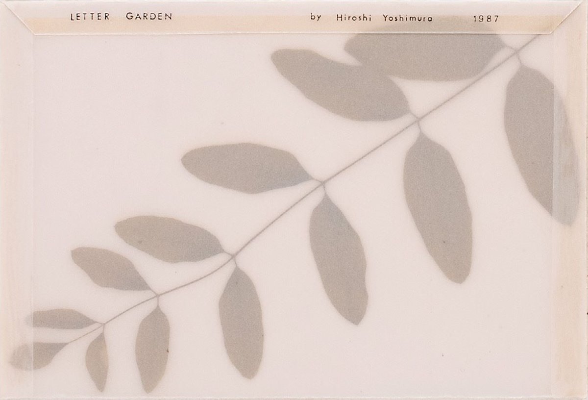 Hiroshi Yoshimura, Letter Garden, vers 1987, plantes et papier calque. The Museum of Modern Art, Kamakura & Hayama. © Yoko Yoshimura. Courtesy du Museum of Modern Art, Kamakura & Hayama. Photo Ryo Kubo