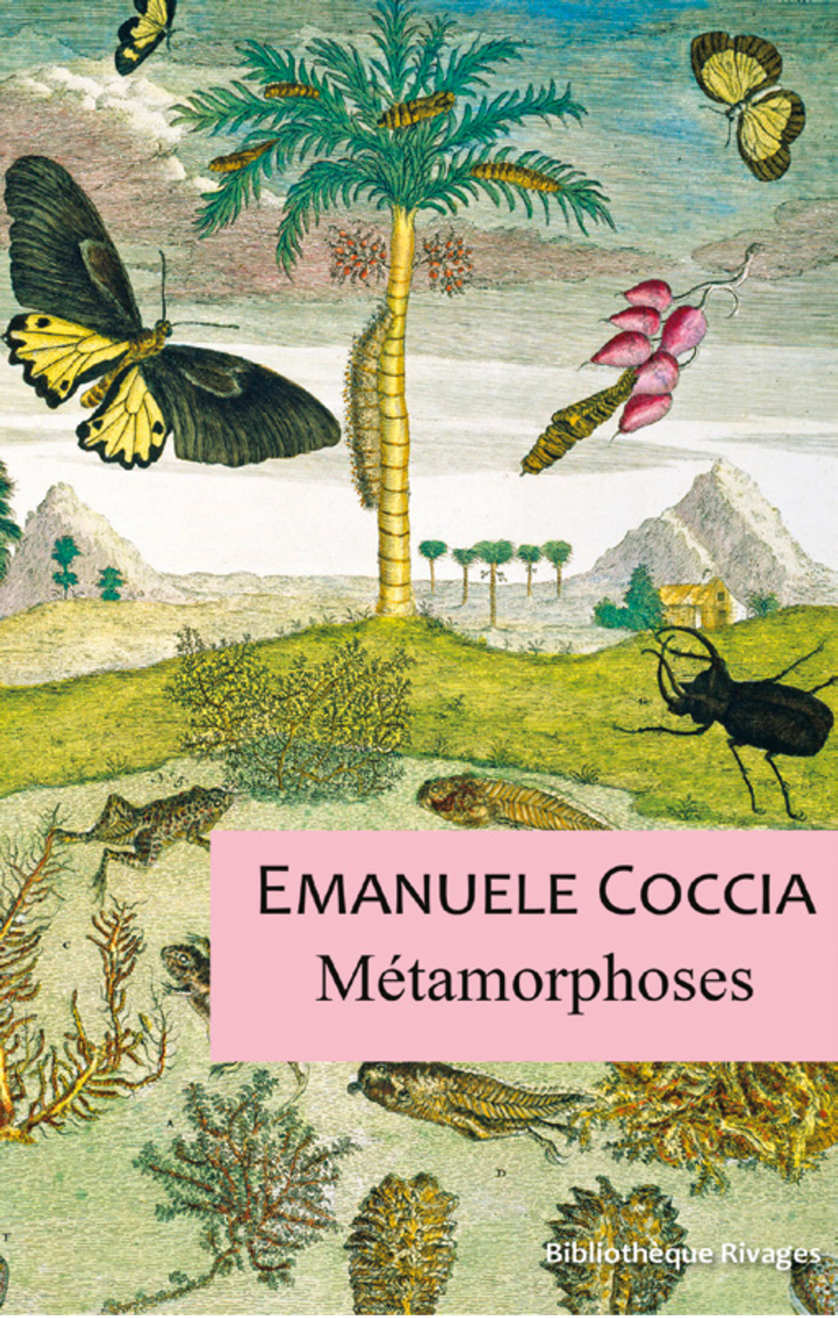 Emanuele Coccia, Métamorphoses, Paris, Bibliothèque Rivages, 2020, 240 pages, 18 euros.