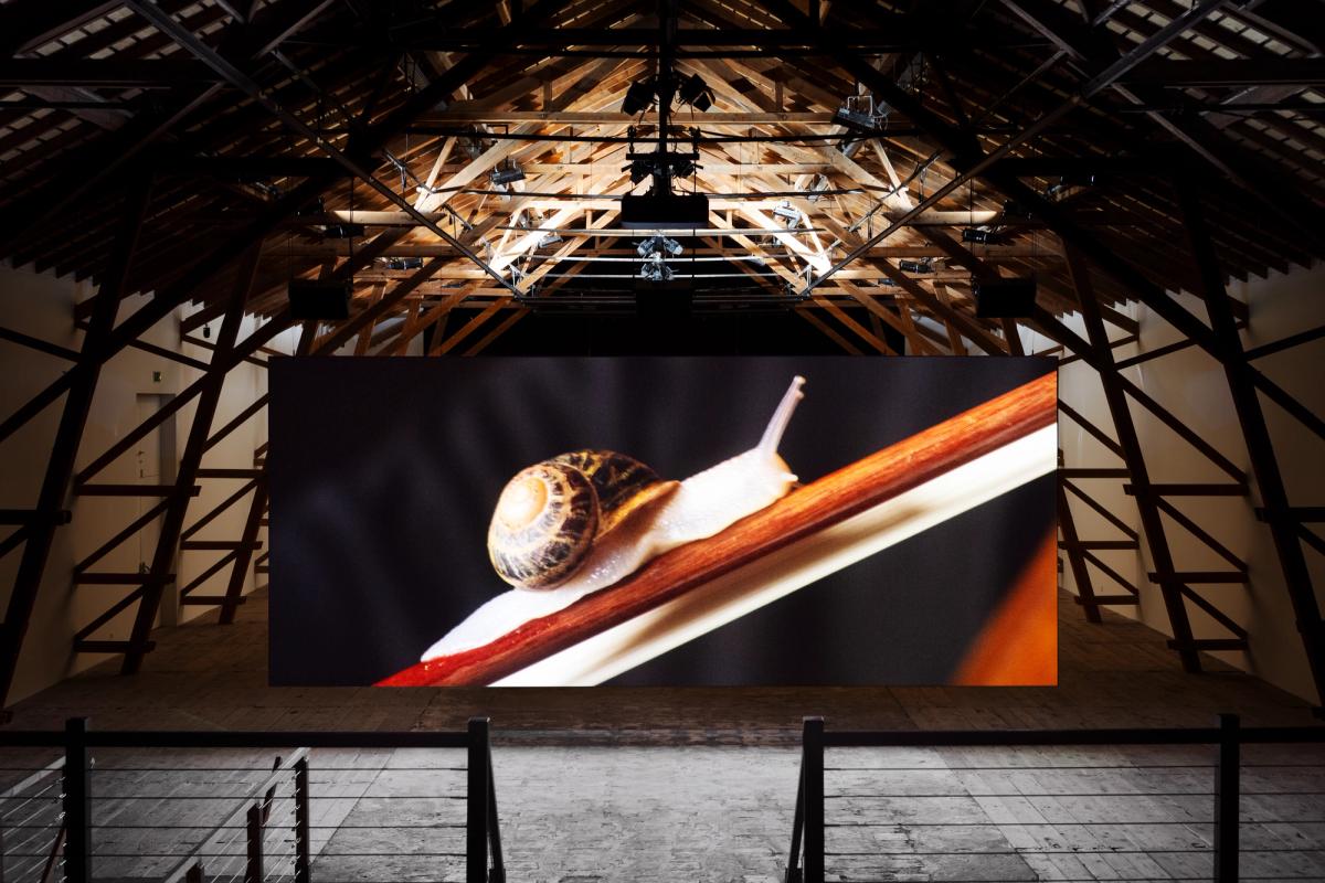 Anri Sala, If and Only If. © Biennale Son. Photo : Fi'Ni Stud