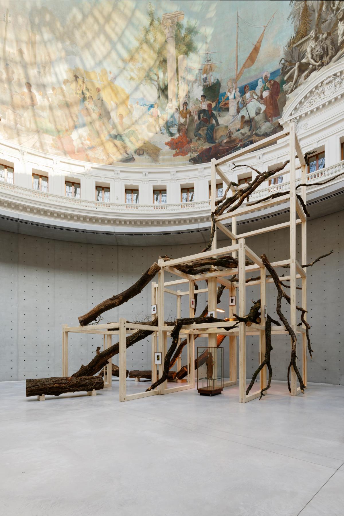 Danh Vo, Tropeaolum, 2023, installation à la Bourse du Commerce – Pinault Collection. Courtesy de l’artiste et Bourse du Commerce – Pinault Collection