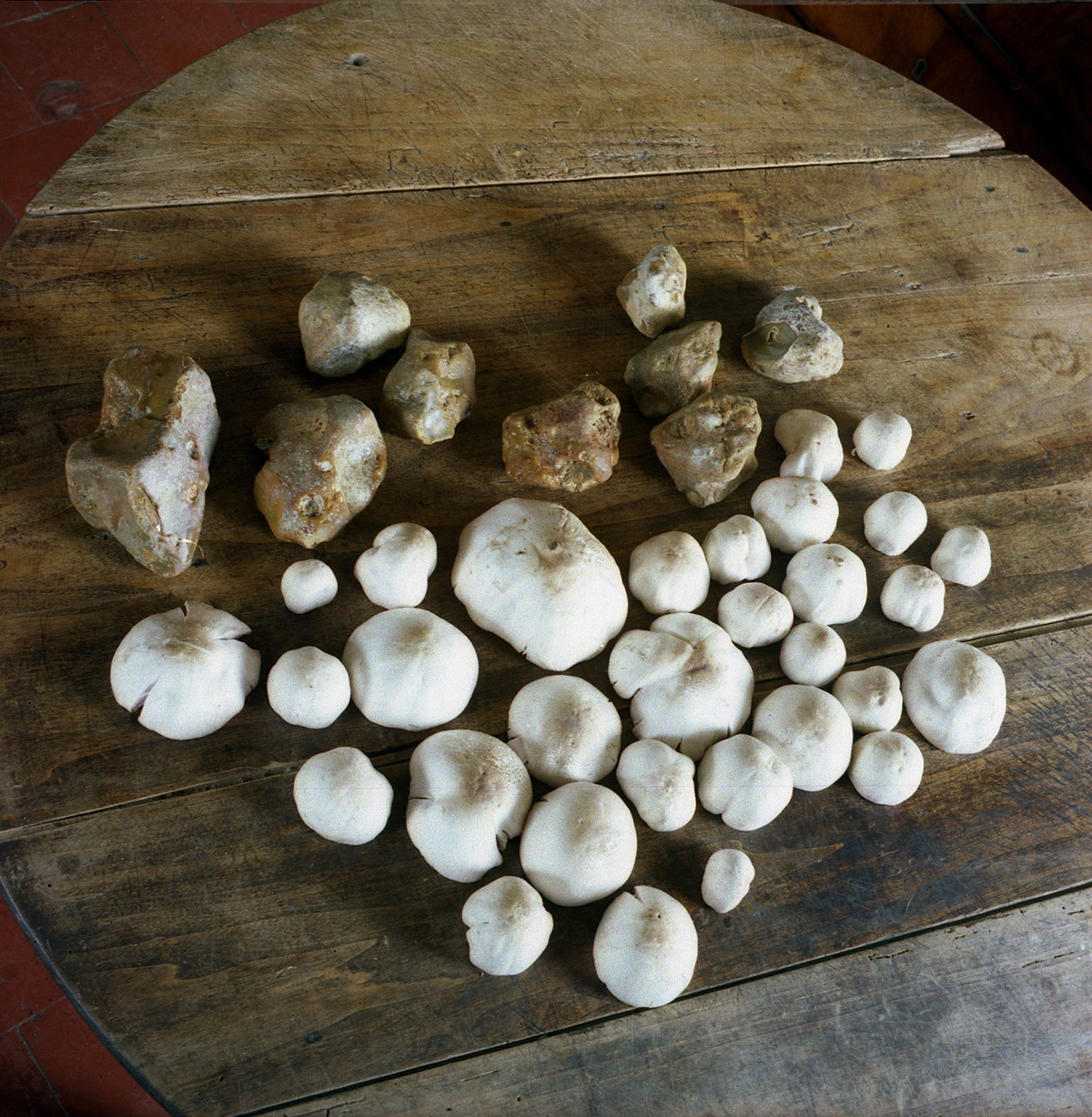 Jean-Luc Moulène, Rosées et silex, 2009, photographie. Courtesy de l’artiste et de la galerie Pietro Spartà