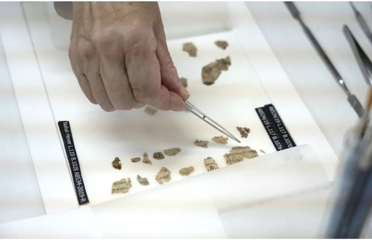Les fragments du parchemin biblique, datant d’il  y a 2 000 ans, découverts dans le désert de Judée,  en Cisjordanie. Photo : Autorité israélienne des  antiquités (AIA)