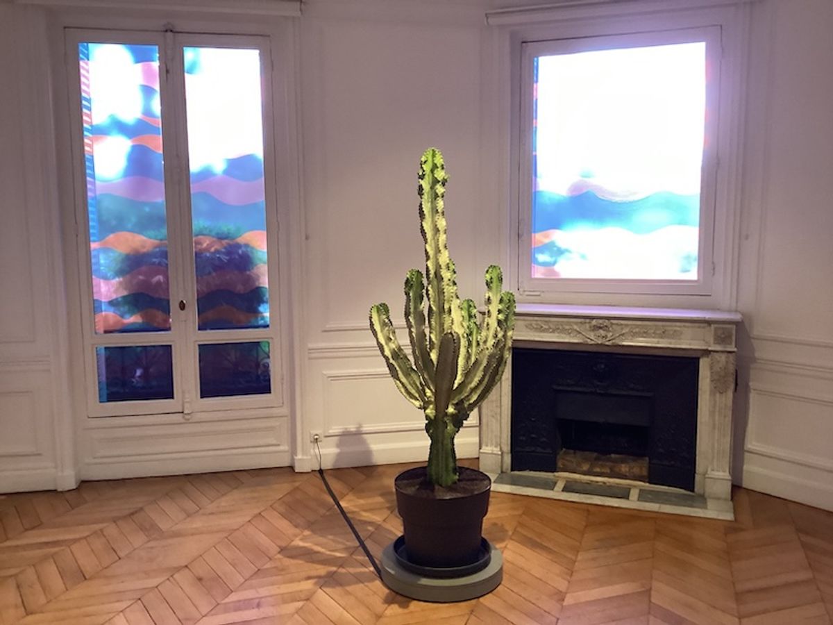 Au premier plan : Cerith Wyns Evans, Still Life XII, 2024. Sur les fenêtres : Spencer Finch, Moonlight (Luna County, New Mexico), 2024.
Photo : Bernard Marcelis