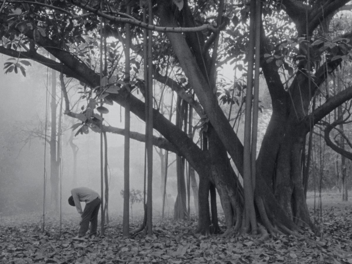 Kieu Anh Phuong Nguyen, Fallen Noon, 2025, Production Le Fresnoy – Studio national des arts contemporains.

© Le Fresnoy – Studio national des arts contemporains