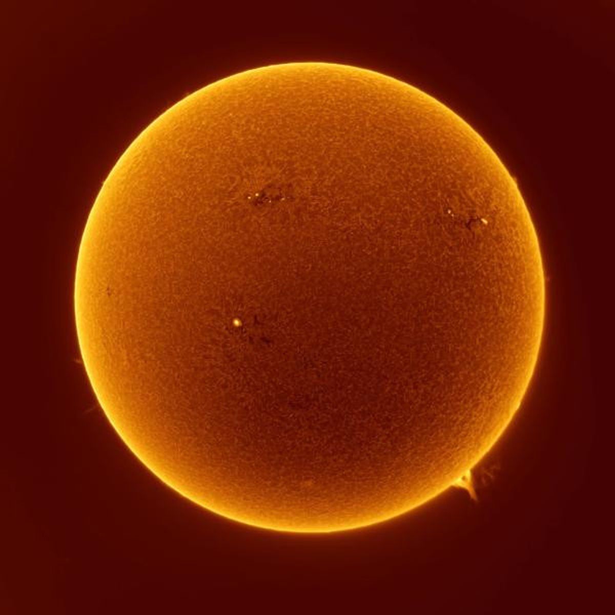 Félicie d’Estienne d’Orves, Khépri, sortir au jour. Courtesy de l'artiste