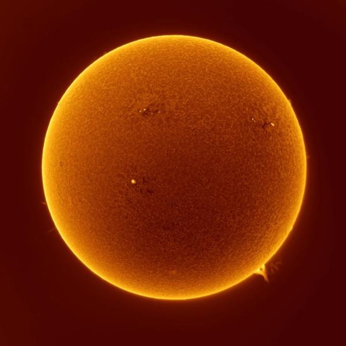 Félicie d’Estienne d’Orves, Khépri, sortir au jour. Courtesy de l'artiste