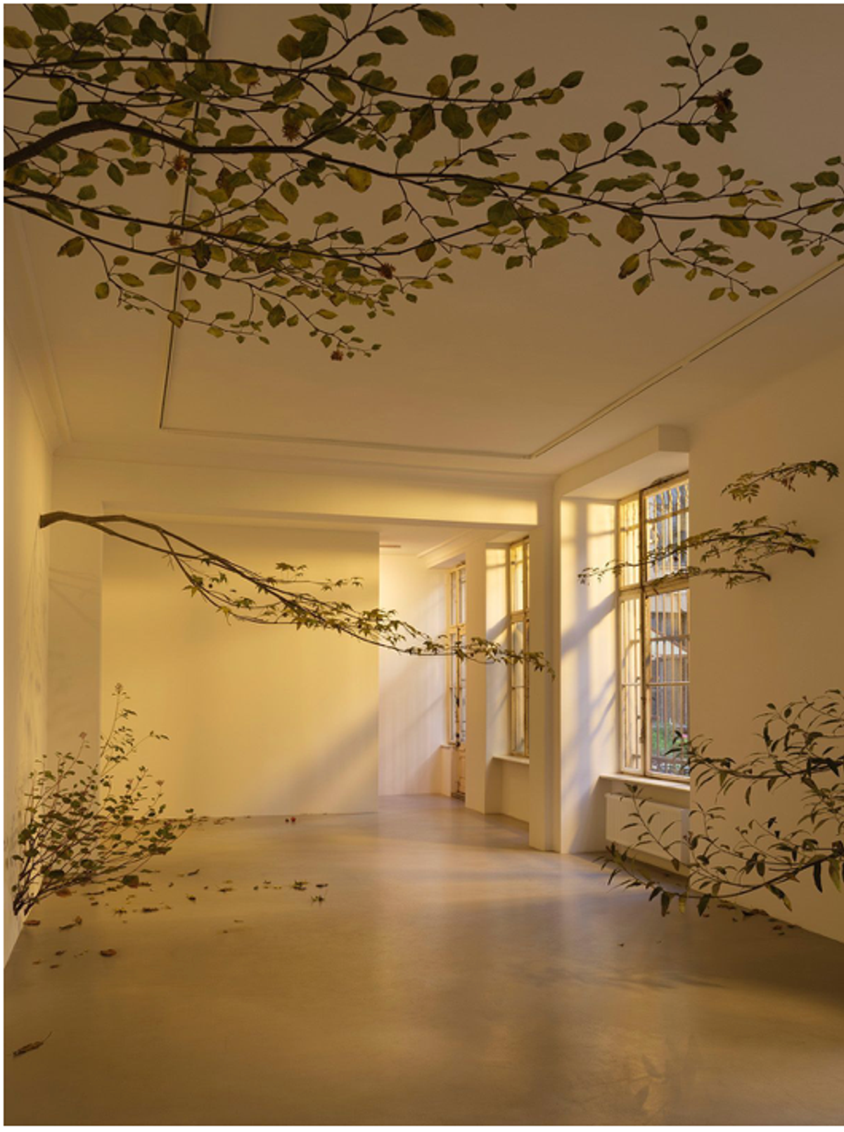 Installation d'Álvaro Urbano. © 2026 ChertLüdde, D.R.