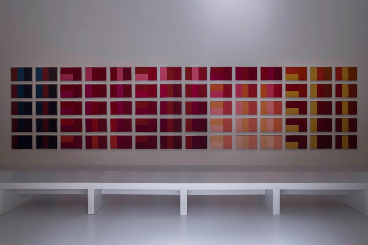Vue d'une partie de l'exposition d'Yto Barrada, pavillon français, Biennale de Venise 2026. Photo : Jacopo La Forgia