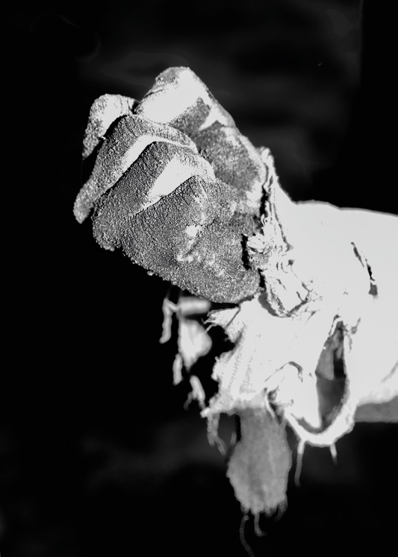 Marie Quéau, Sans titre #122, Campus Univers Cascades, série Fury, 2024. Courtesy de l’artiste et de la galerie Les Filles du Calvaire, Paris