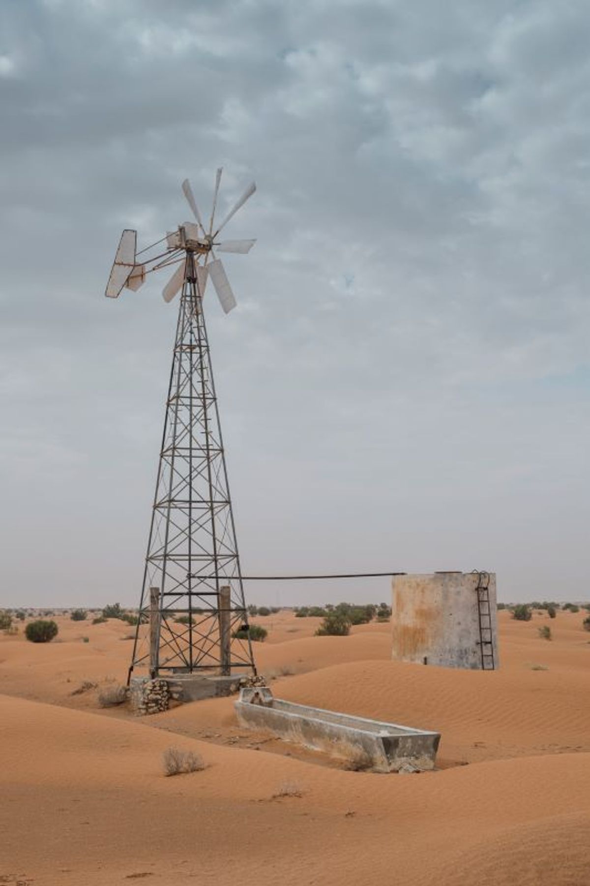 M’hammed Kilito, sans titre, 2024, photographies couleur. © M’hammed Kilito. Courtesy du 32bis