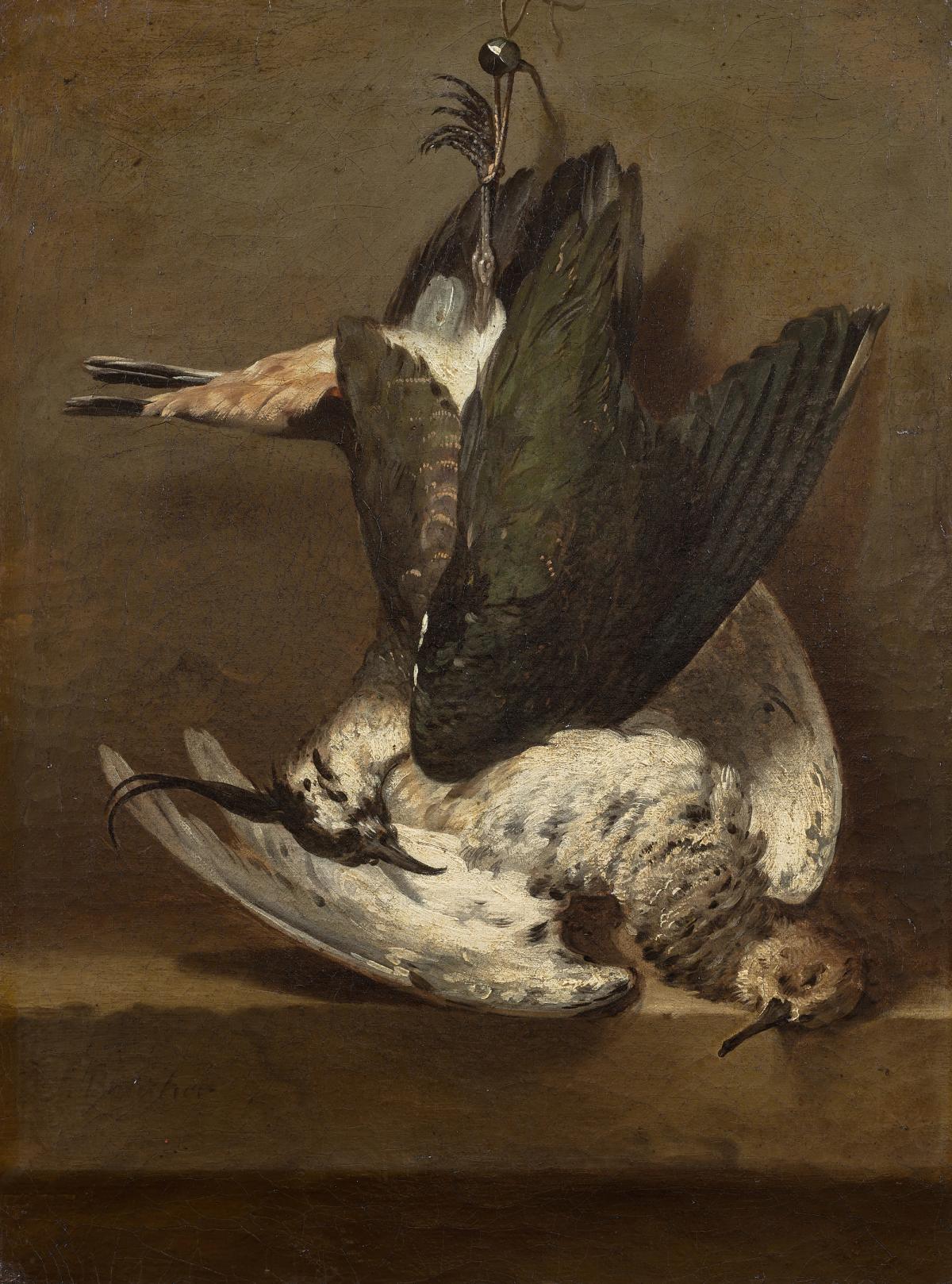 François Boucher, Nature morte au vanneau huppé et au combattant varié, vers 1745, huile sur toile, 45 x 33,7 cm.

© Cabinet Turquin / Pescheteau Badin

