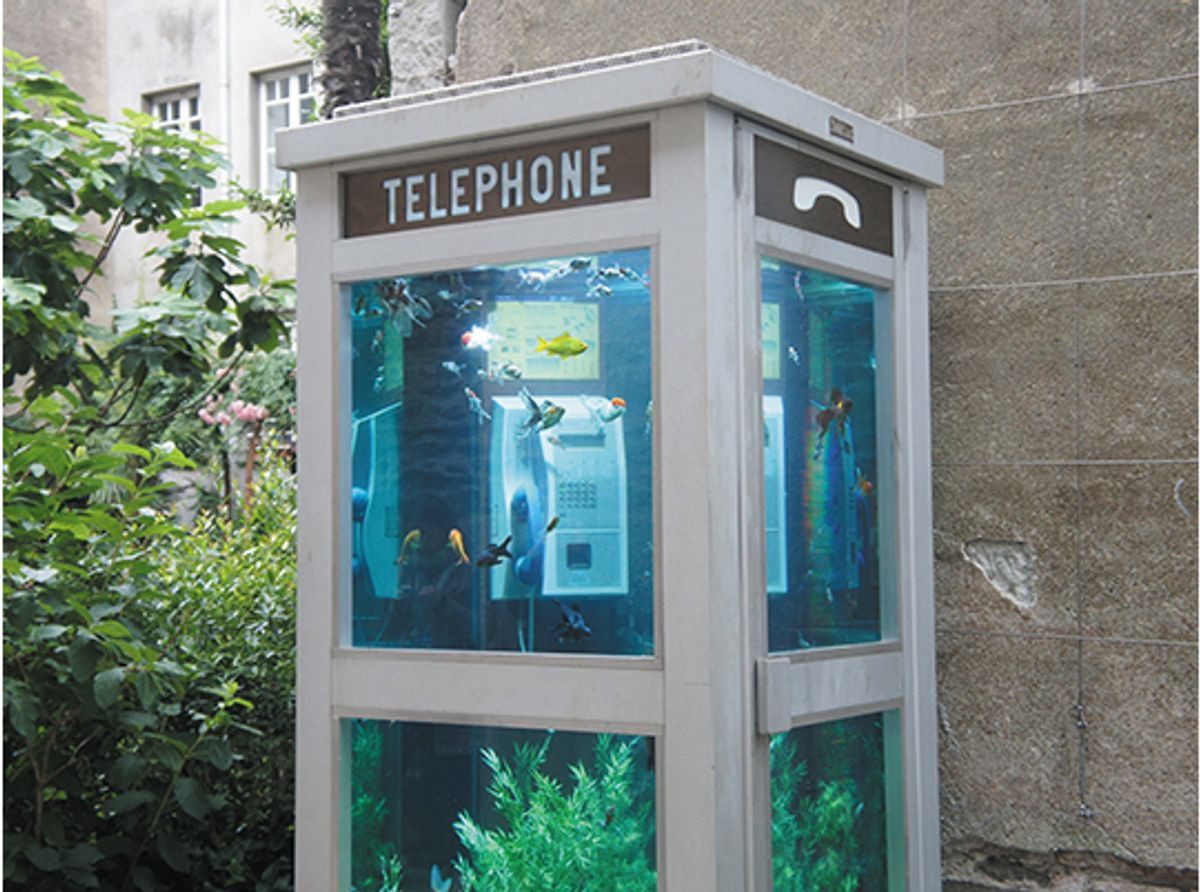 Benedetto Bufalino, La Cabine téléphonique aquarium, Nantes 2016, installation. © D.R.