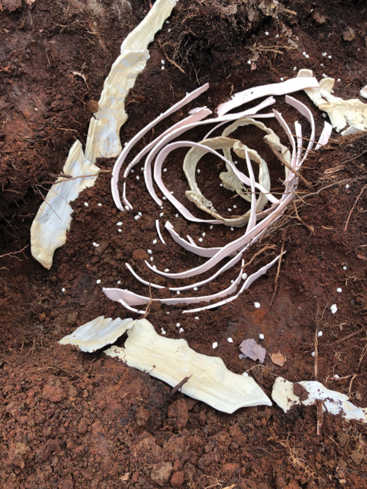Stéphanie Morissette, Techkaryotemobulidae, amorce du projet d’archéologie spéculative, en cours depuis 2023. © Stéphanie Morissette
