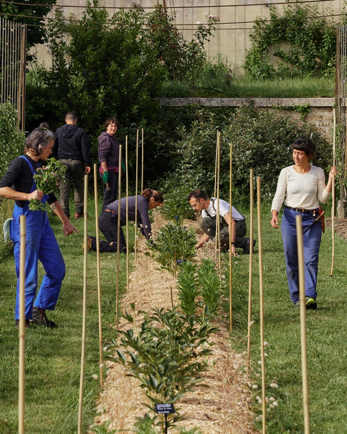 Les élèves de l’École supérieure de jardin en formation au Potager du Roi, à Versailles. Courtesy Fondation Diptyque