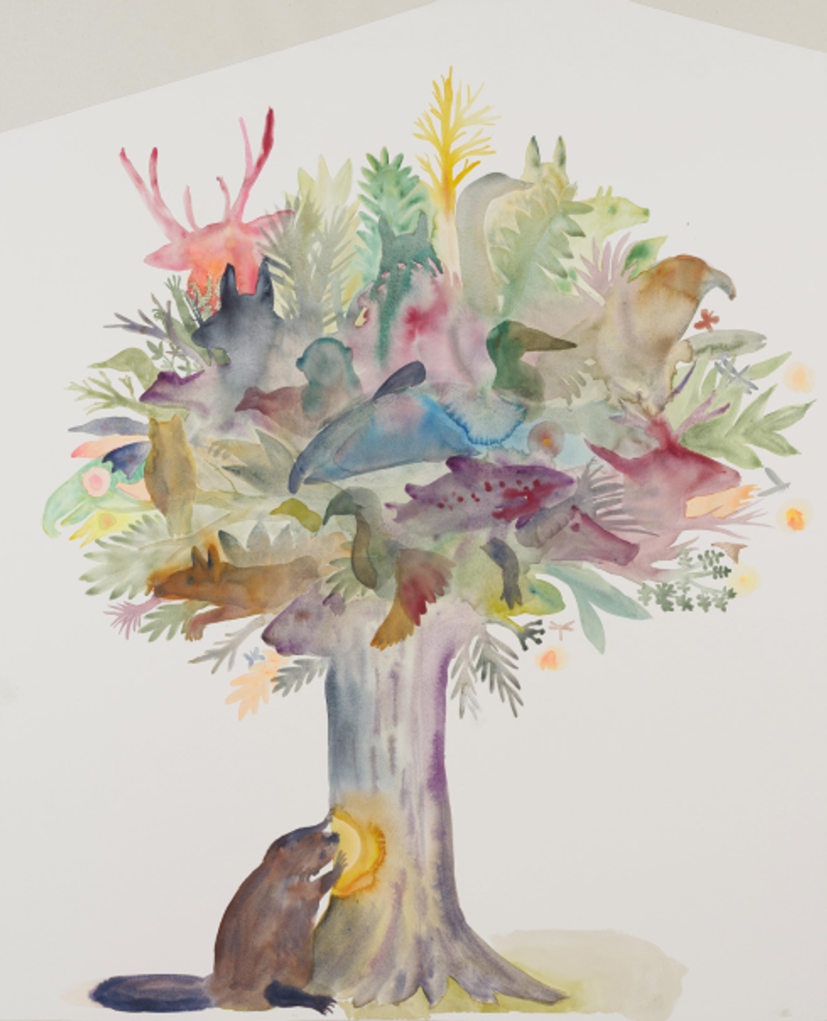 Suzanne Husky avec Baptiste Morizot, L’Effet castor, 2023, aquarelle sur papier. Courtesy de la galerie Alain Gutharc