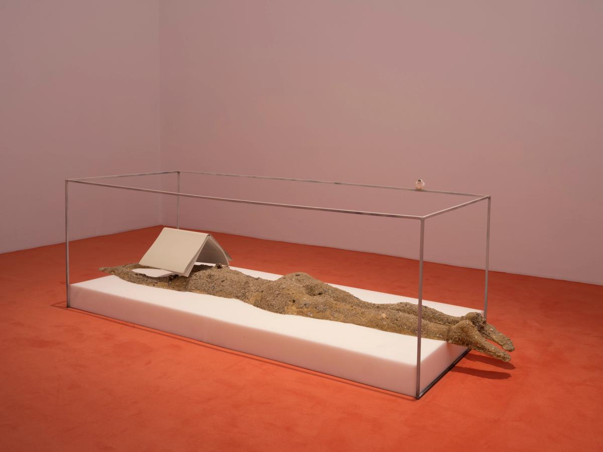 Guillaume Leblon, Nageuse au repos, 2013-2022, plastiline, sable, coquillages, livre, métal, mousse et canari empaillé, 68,5 x 196,5 x 85 cm. Photo : Bertrand Huet / Tutti image. Courtesy de l’artiste et de la Galerie Nathalie Obadia Paris / Bruxelles