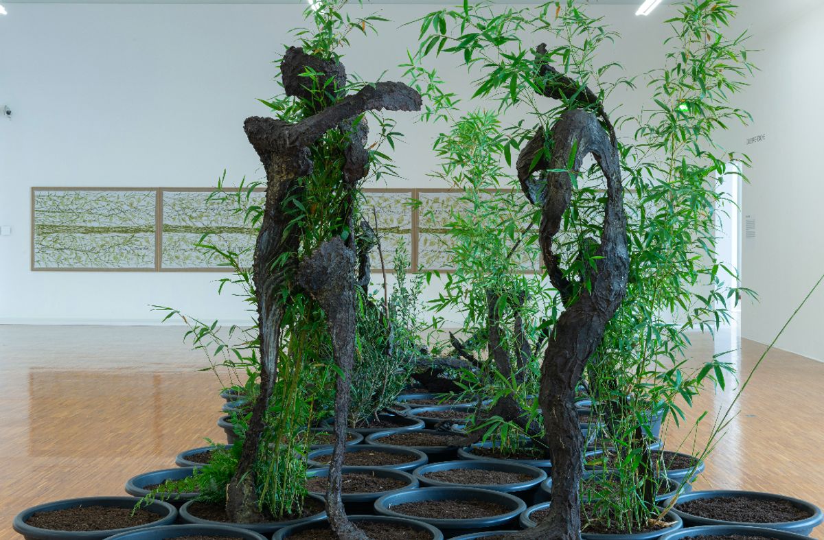 Vue de l’exposition « De la nature » au musée de Grenoble. Œuvres de Giuseppe Penone. © Ville de Grenoble/Musée de Grenoble - Jean-Luc Lacroix