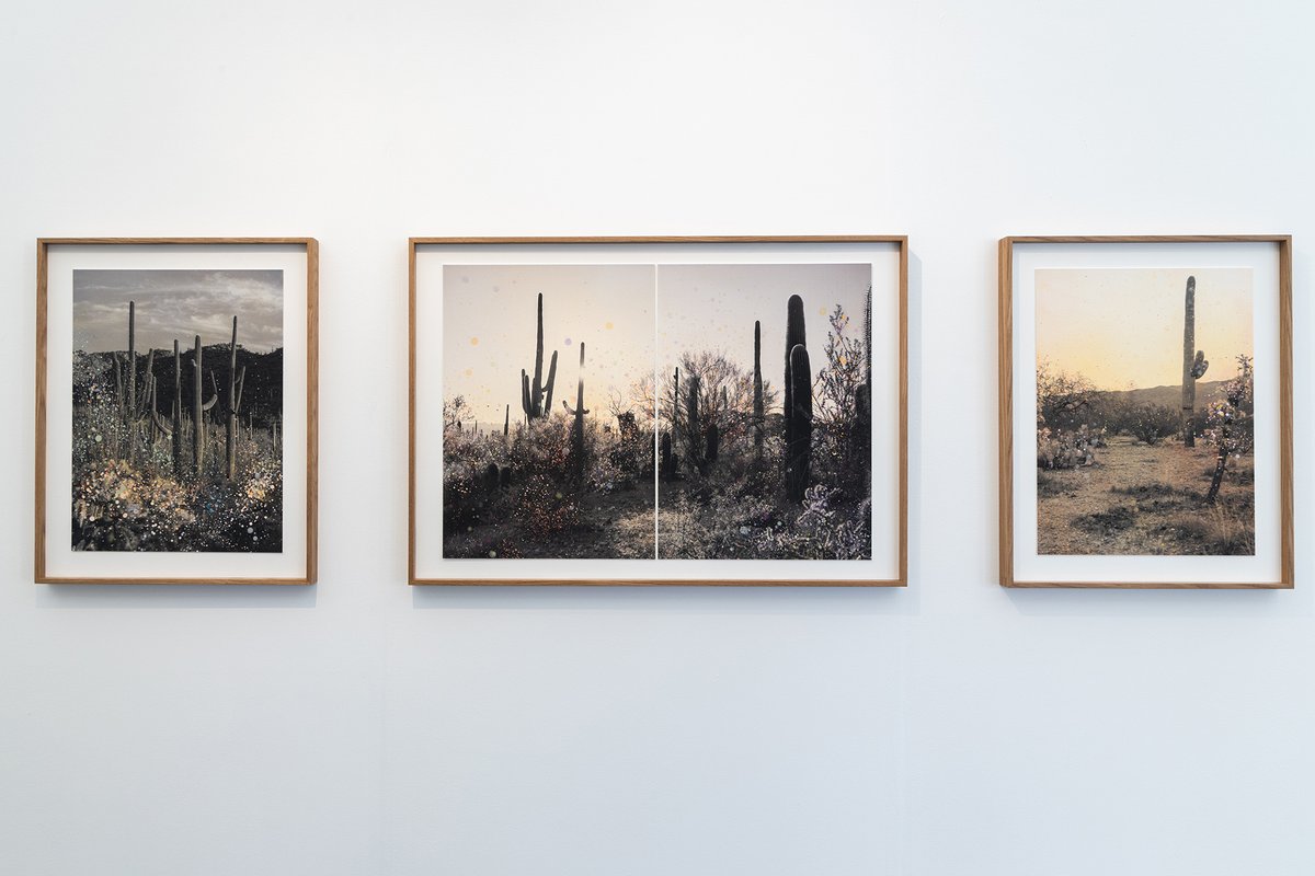 Œuvres de Nanna Hänninen sur le stand de la galerie Persons Projects. Courtesy de l'artiste et Persons Projects