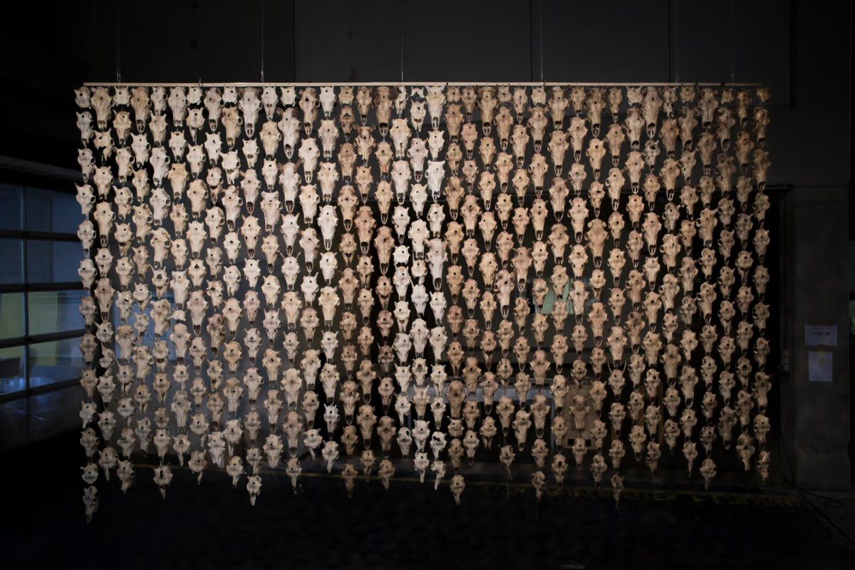 Máret Ánne Sara, Pile O’Sápmi-Supreme (2017), vue d'insllation à la NeueNeue Galerie (Neue Hauptpost), Cassel, Documenta 14. Photo : Matti Aikio