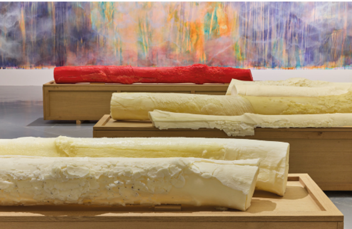 Vue de l’exposition « Thu-Van Tran. Nous vivons dans l’éclat », MAMAC, Nice, 2023. Au premier plan : The Red Rubber #2 (Le Caoutchouc rouge (détail), 2017, installation, cire, caoutchouc, arbre de caoutchouc, plâtre, pigment et bois de chêne; au second plan : Les Couleurs du gris (détail), 2023, lin, plâtre, chaux, liant et pigments. © Thu-Van Tran. Photo Jean-Christophe Lett