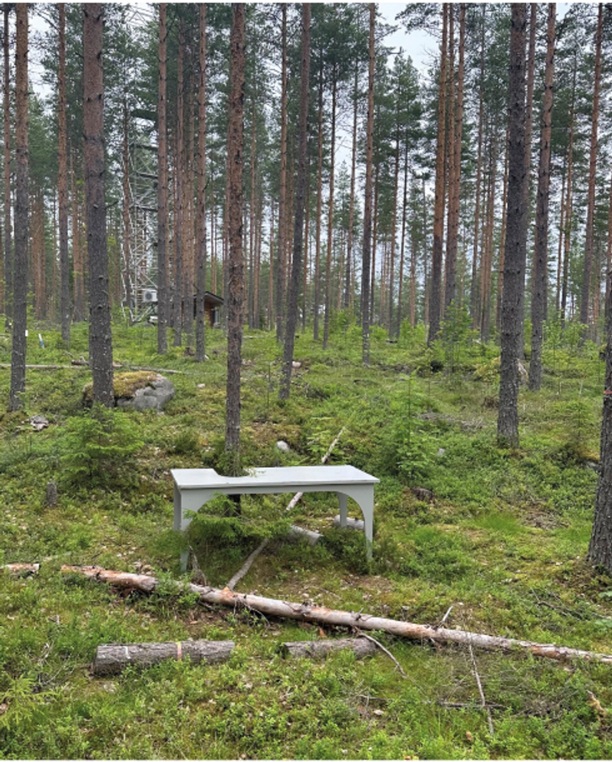 Agnes Meyer-Brandis, Tealemetree Stations, depuis 2015, installation, station forestière SMEAR II, Hyytiälä, Finlande. Photo Philippe Régnier